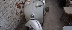 Vespa Primavera
