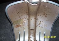 Lambretta Golden Special Pacemaker