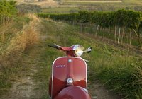 Vespa 125 TS