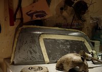 Lambretta j- bzw. i50 deluxe